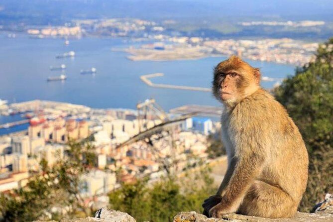 Gibraltar private tours from Seville - Final Thoughts