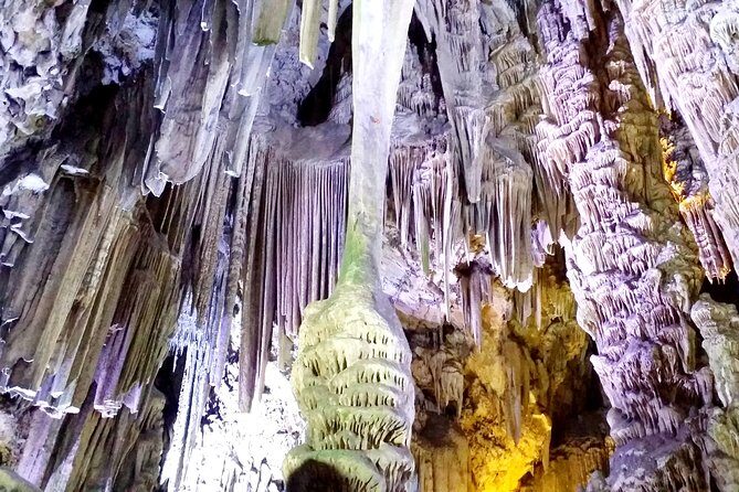 Gibraltar private trip from Marbella or Malaga - The Experience in Detail: What You Can Expect