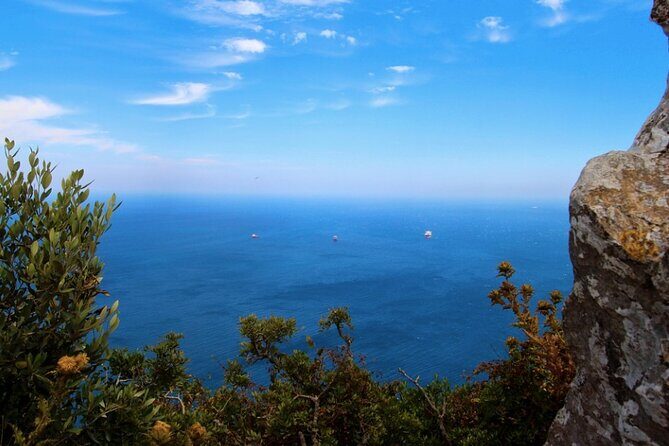 Gibraltar Shore Excursion: The Original Rock, Shop & Caves Tour - An In-Depth Look at the Gibraltar Experience