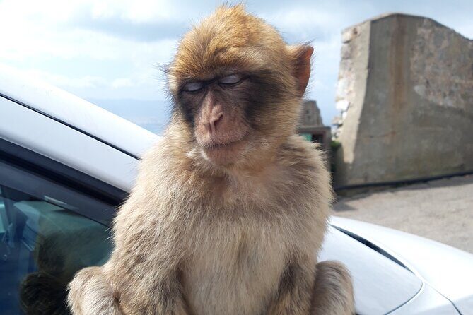 Gibraltar Sightseeing : Classic Shore Excursion (Private) - Who Would Love This Tour?