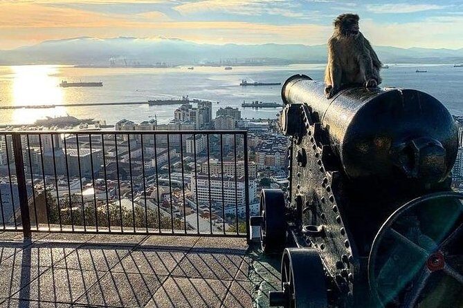 Gibraltar Sightseeing : Extended Rock Tour / Shore Excursion (Private) - Practical Details and What to Expect