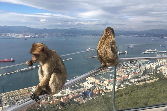 Gibraltar Sightseeing: Premium Rock Tour / Shore Excursion (Private) - FAQ