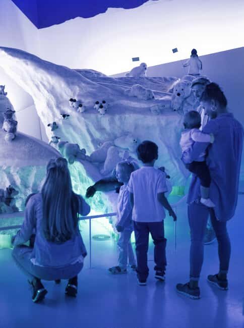 Giengen: Steiff Museum, learn about the fascinating world of Steiff - The Sum Up