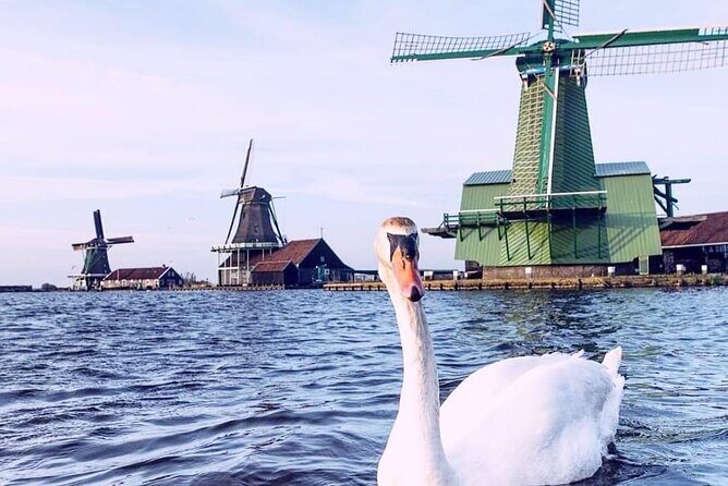 Giethoorn, Private Boat Tour & Zaanse Schans Windmills - Practical Details and Tips
