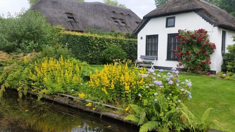 Giethoorn private tour with open boat and local captain - Key Points