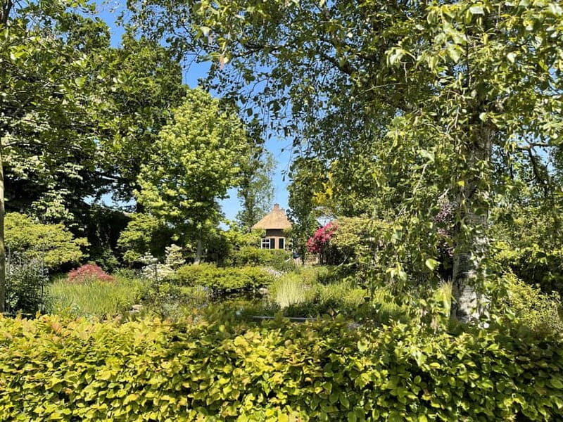 Giethoorn & Windmill Country A Journey Through Old Holland - An In-Depth Look at the Tour Experience