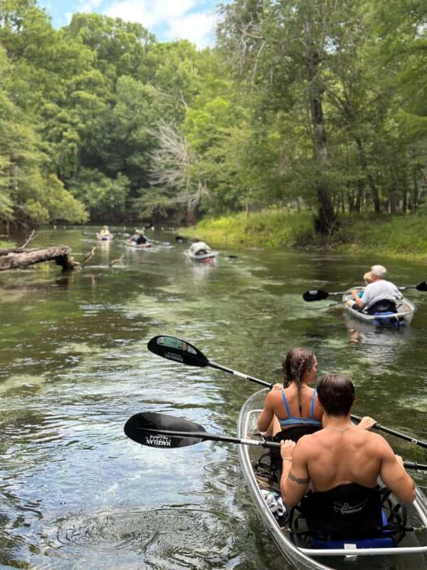 Gilchrist Blue: Clear Kayak Eco Tour - An Introduction to the Gilchrist Blue: Clear Kayak Eco Tour