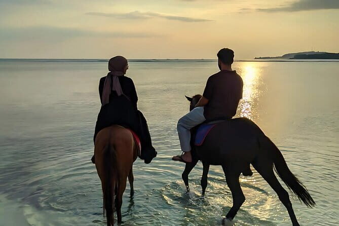 Gili Air 1 Hour Horseback Beach Adventure - Who Is It Best For?
