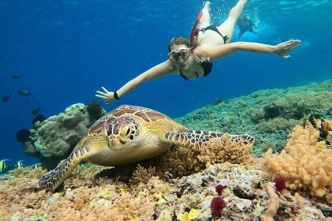 Gili Air 1 Hour Horseback Beach Adventure - Authenticity and Safety