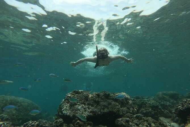 Gili island Snorkeling Half Day Trip departure from Gili Trawangan - Authentic Insights from Reviewers