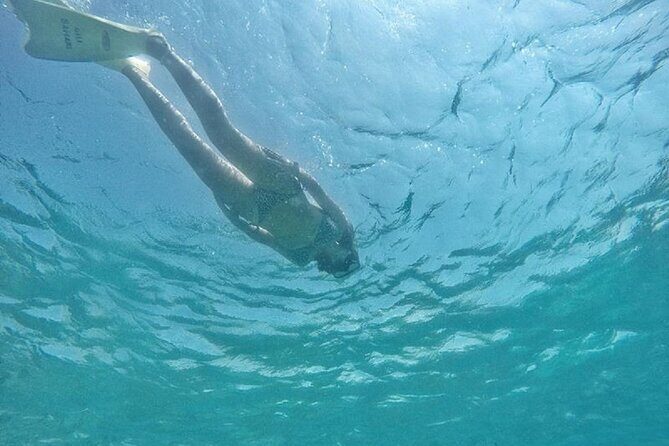 Gili island Snorkeling Half Day Trip departure from Gili Trawangan - Practical Tips for a Great Experience