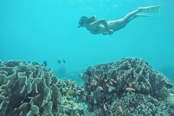 Gili island Snorkeling Half Day Trip departure from Gili Trawangan - Summary of Our Experience