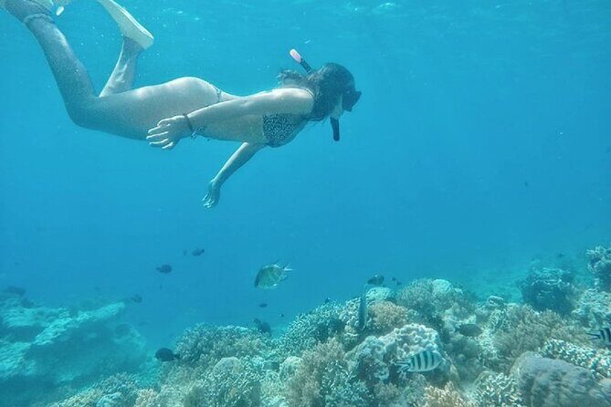 Gili island Snorkeling Half Day Trip departure from Gili Trawangan - Frequently Asked Questions