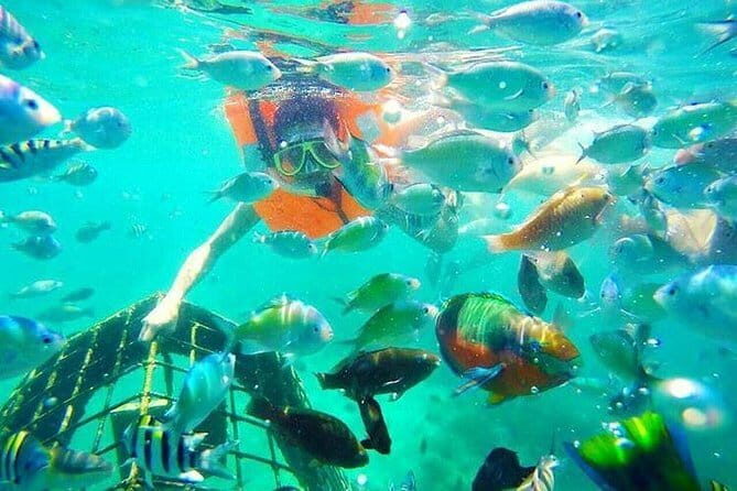 Gili Nanggu, Gili Kedis & Gili Sudak Private Tour - What’s Included and What’s Not