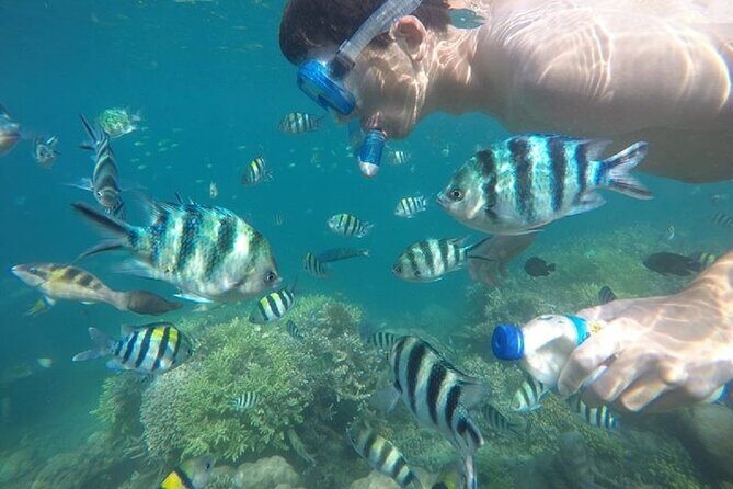 Gili Nanggu,Gili Kedis & Gili Sudak Hopping island & Snorkeling Tour - Frequently Asked Questions