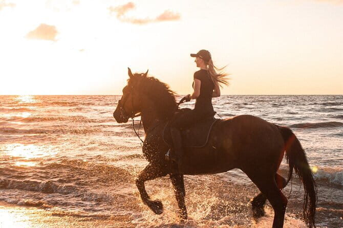 Gili Trawangan Beach Horseback Riding with Pickup Hotel - Key Points