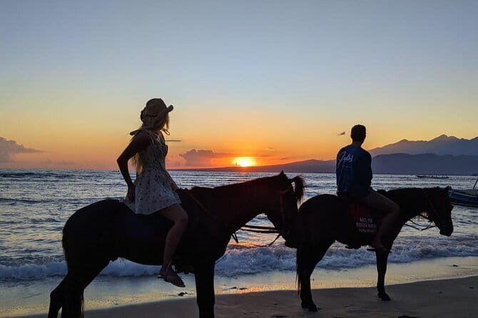 Gili Trawangan Beach Horseback Riding with Pickup Hotel - The Ride: What to Expect