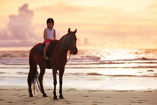 Gili Trawangan Beach Horseback Riding with Pickup Hotel - Pricing and Value