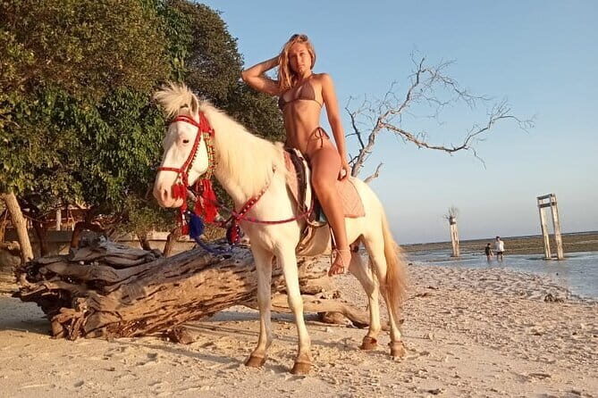 Gili Trawangan Beach Horseback Riding with Pickup Hotel - Who Should Book This Tour?