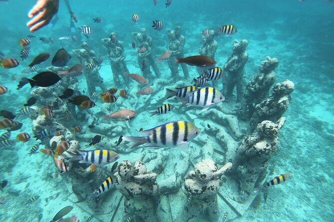 Gili Trawangan,Gili Meno& Gili Air Island:Snorkeling Day Trip Depart from Lombok - Review of the Gili Trawangan, Gili Meno & Gili Air Island Snorkeling Day Trip from Lombok