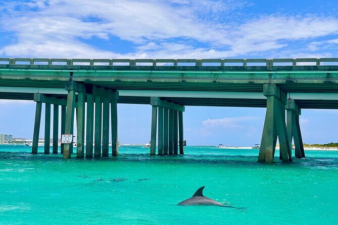 Gilligans 2 Passenger Jet Ski Rental Departing from Destin Harbor - FAQ