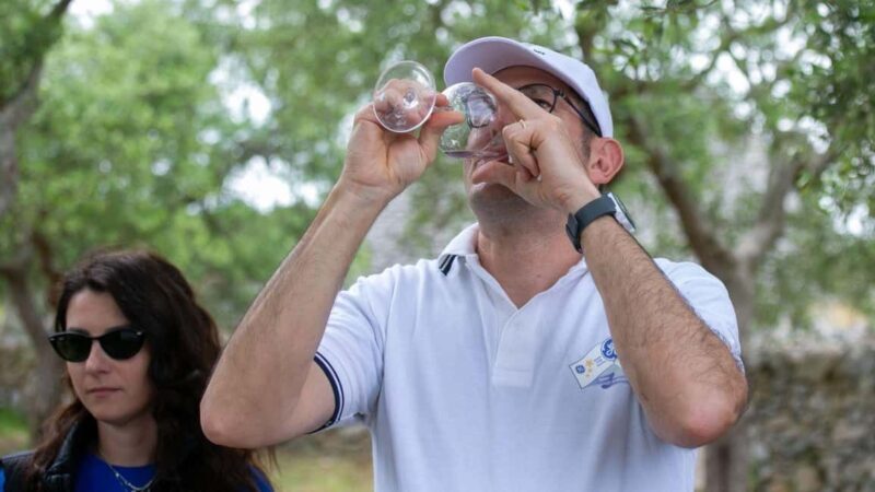 Gioia del Colle: Winery with Primitivo Tasting - Authenticity and Value