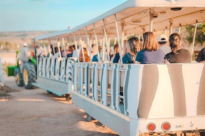 Giraffe Experience and Safari Wine Tour at Grapetown Vineyard - The Sum Up