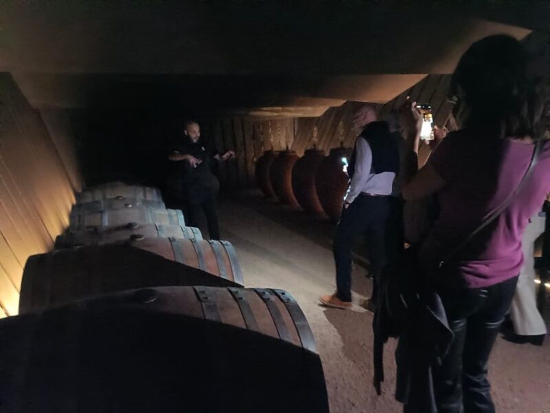 Girona: Local Wineries Tour with Breakfast and Wine Tasting - An In-Depth Look at the Girona Wineries Tour