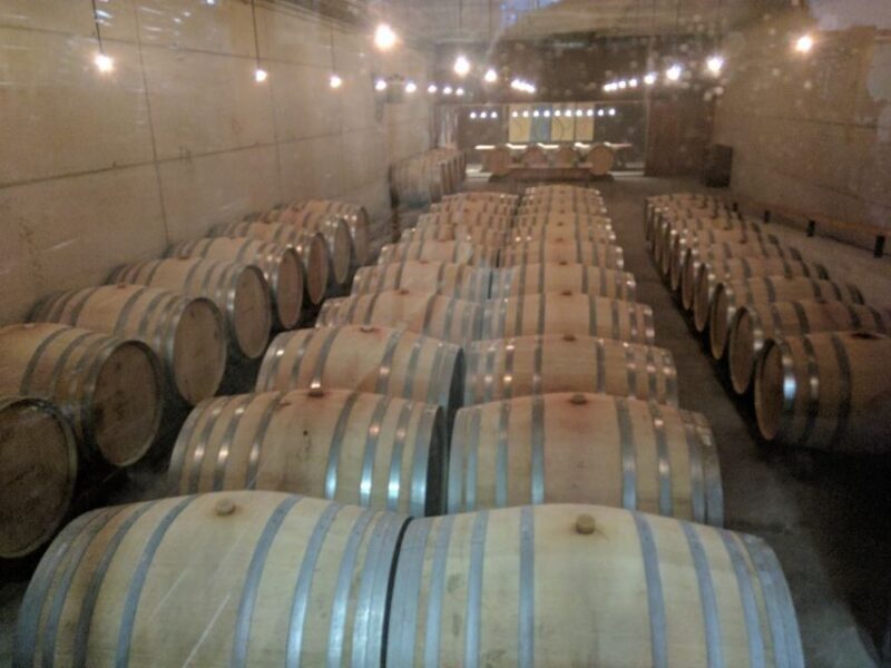 Girona: Local Wineries Tour with Breakfast and Wine Tasting - Who Should Book This Tour?