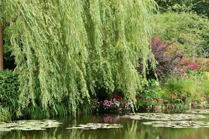 Giverny Half-day Small-group max. 7 people Trip from Paris - Authentic Experiences & Review Insights