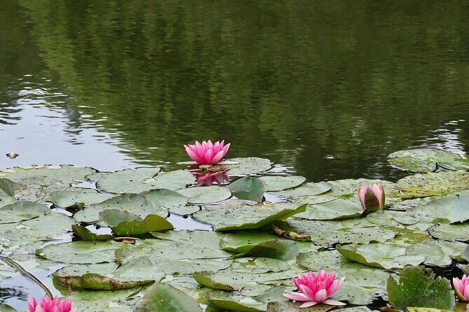 Giverny Half-day Small-group max. 7 people Trip from Paris - Who This Tour Is Best For