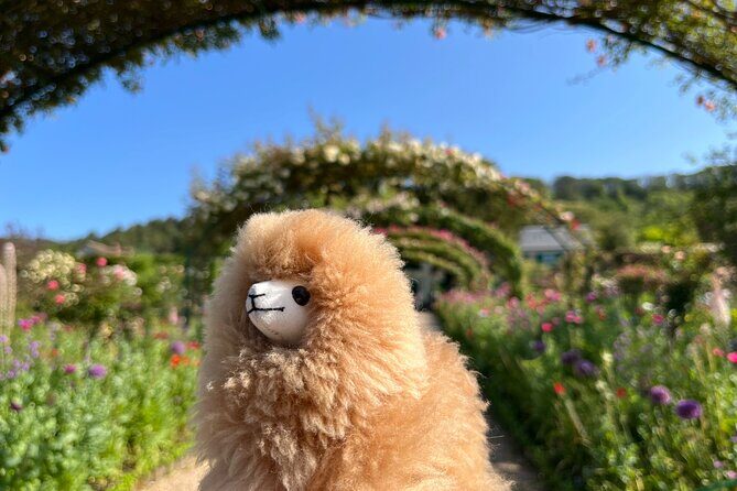 Giverny & Versailles Private Guided Tour with Ticket Entry - The Value for Money and Who It’s For