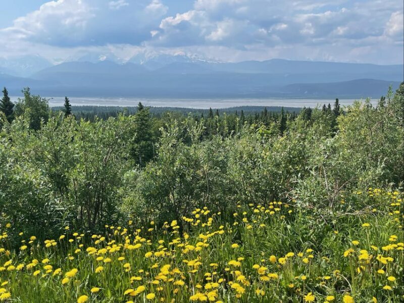 Glacial Lake, Waterfall and rainforest. Beauty of Turnagain! - The Sum Up