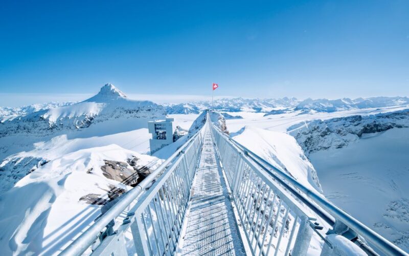 Glacier 3000: High Level Experience Private Tour - The Sum Up