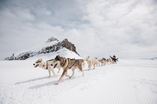 Glacier 3000 Ticket Including Cable Car and Peak Walk by Tissot - FAQ