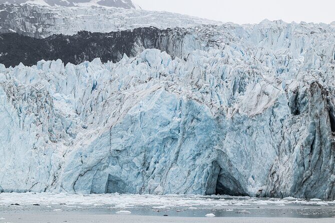 Glacier Bay Day Tour: Explore Tidewater Glaciers and Wildlife - An In-Depth Look at the Glacier Bay Day Tour