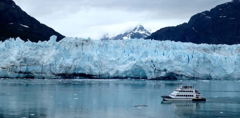 Glacier Bay: High Speed Catamaran Glacier & Wildlife Tour - Key Points