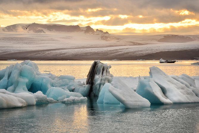 Glacier Lagoon & Fjaðrárgjúfur Canyon Group Tour from Reykjavik - The Value of This Tour