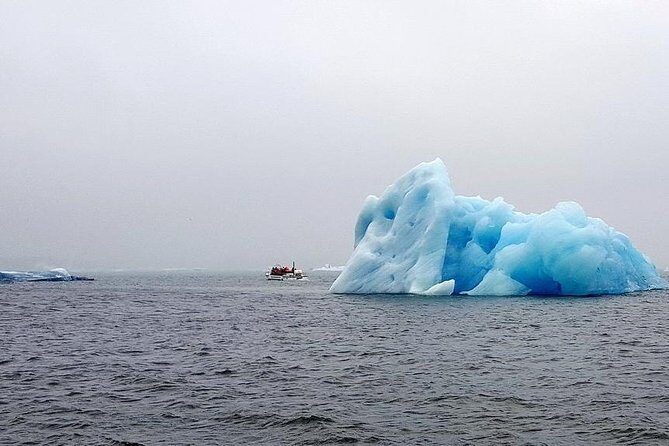 Glacier Lagoon & South Coast. Private Day Tour - Pricing and Value
