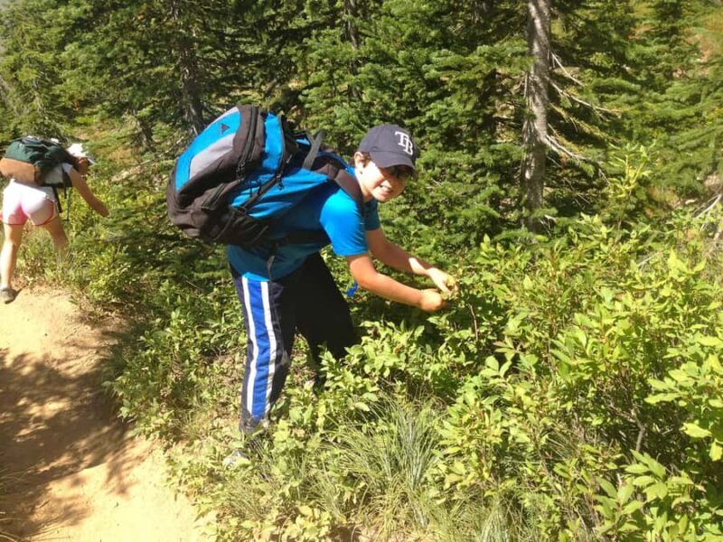 Glacier National Park: Morning Nature Walk - An Introduction to the Glacier National Park Morning Walk