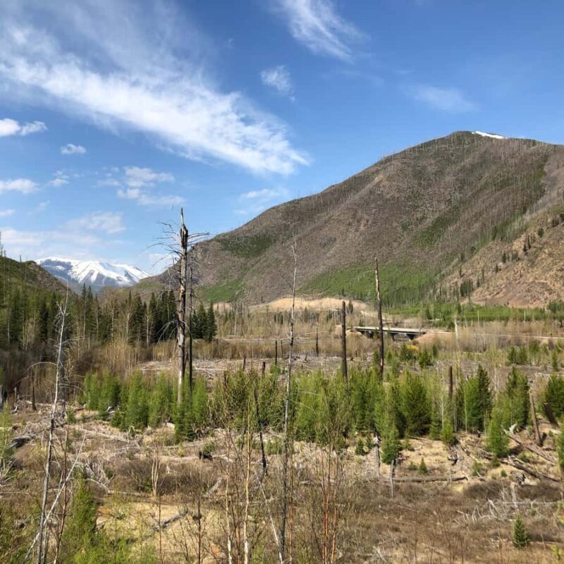 Glacier National Park: Morning Nature Walk - FAQ