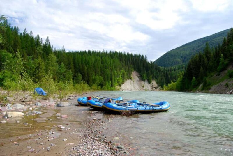Glacier National Park: Scenic Float on the Flathead River - Authentic Reviews and Feedback