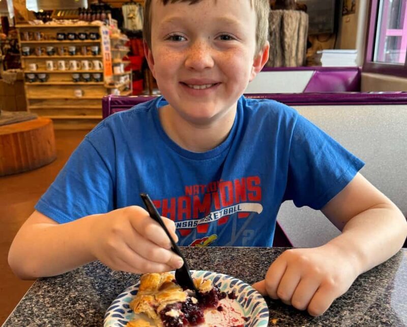 Glacier National Park: Summer Driving Tour with Lunch - Key Points