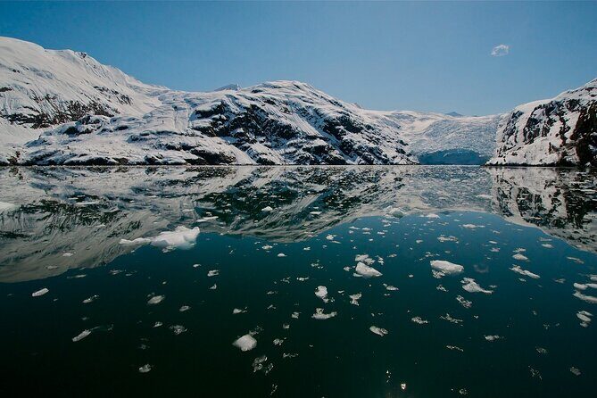 Glacier Quest Cruise and Coach Package - The Sum Up