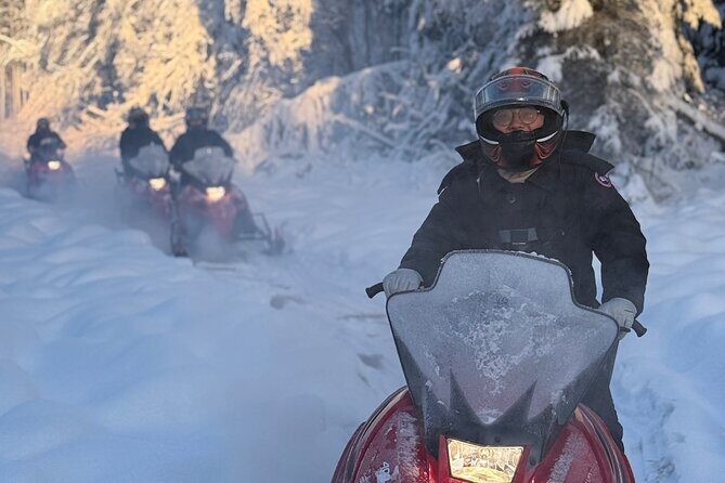 Glacier snowmobile tour - Who Will Love This Experience?