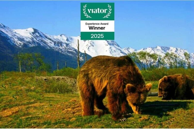 Glacier View & Wildlife Anchorage Adventure Tour - What Makes This Tour Stand Out?