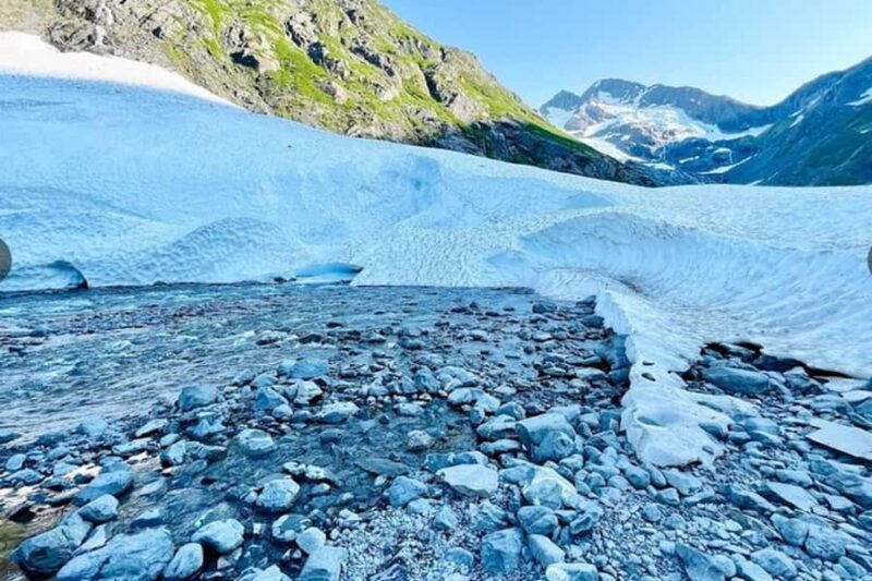 Glacier View & Wildlife Anchorage Adventure Tour - Itinerary Breakdown: What You Can Expect