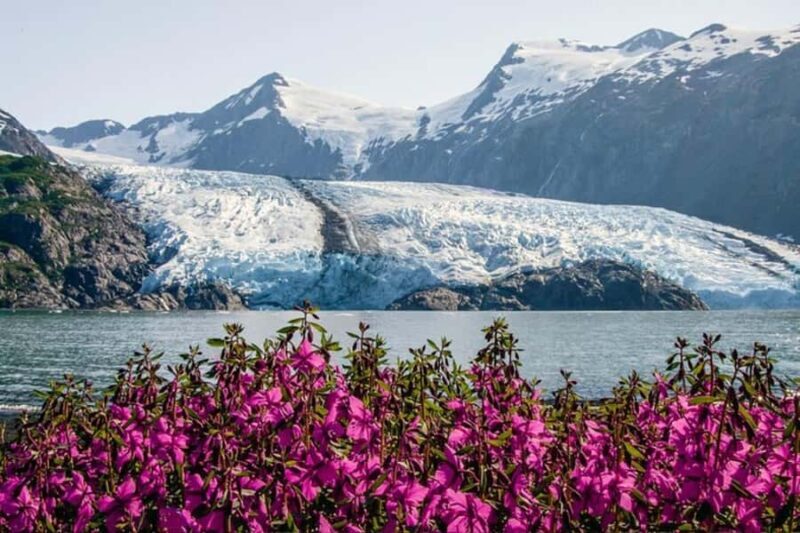 Glacier View & Wildlife Anchorage Adventure Tour - Final Thoughts: Is It Worth It?