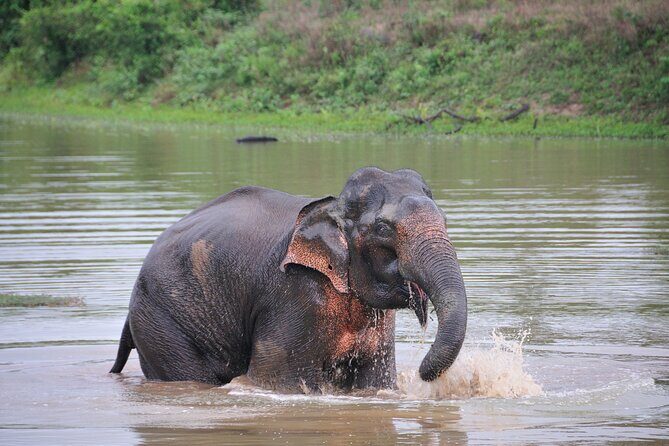 Glamping & Safari - Wilpattu National Park - Analyzing the Value