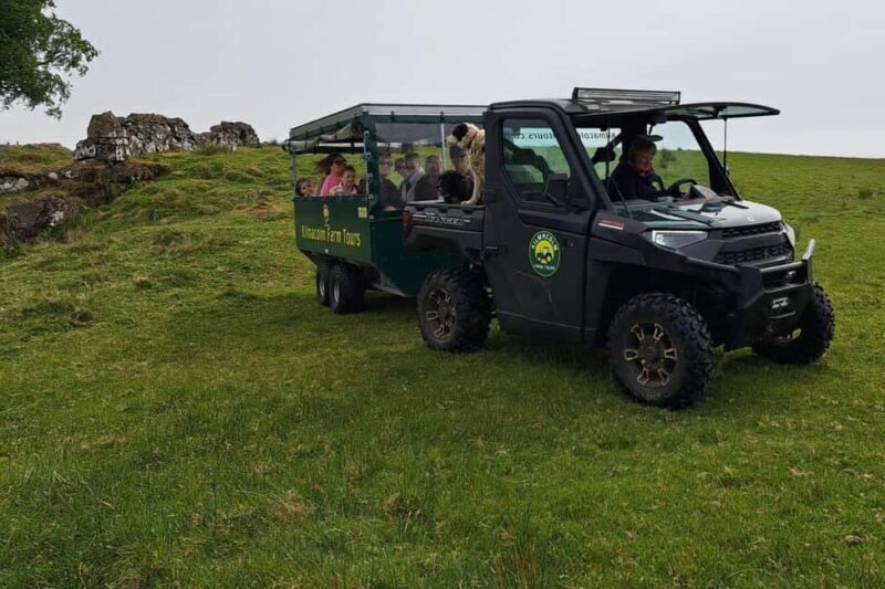 Glasgow: Highland Cow Trailer Tour with home baking - The Value for Money